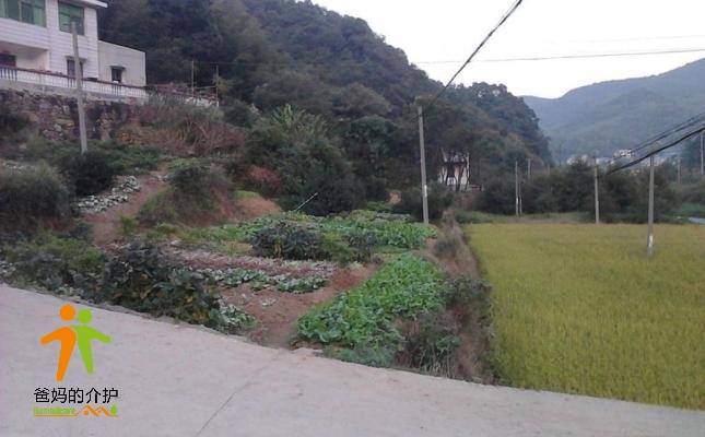 长沙市岳麓区莲花镇闲人养老家庭式公寓