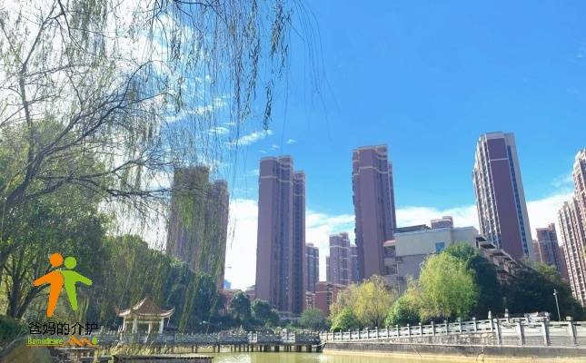 长沙市康乃馨养老院