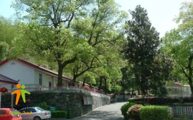 长沙市望城区鸿天康逸敬老山庄