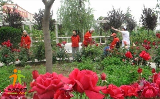 陕西西咸新区沣东新城王寺敬老院